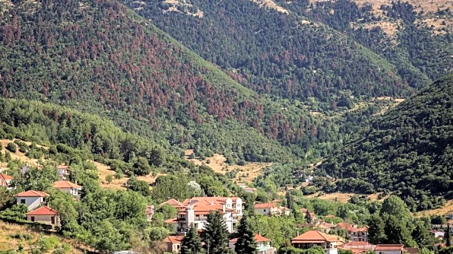 Wildfires, rising temperatures imperil northern hemisphere forests, UN says