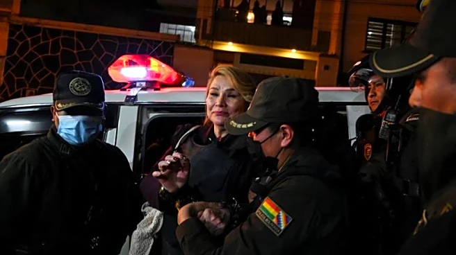 Bolivia Supreme Court orders release of ex-President Anez