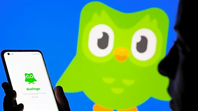 Duolingo says AI features 'profitable' as it beats revenue estimates, raises forecast