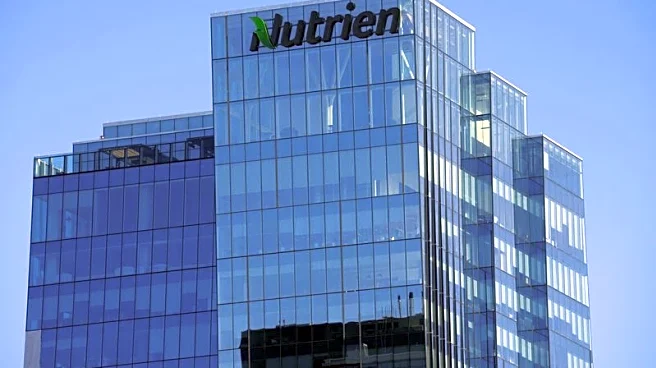 Nutrien tops profit estimates, launches review of phosphate business