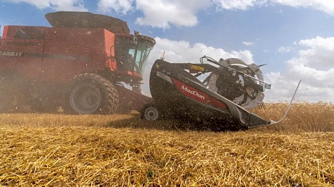 China buys first US wheat cargoes since 2024 after leaders' meeting, traders say