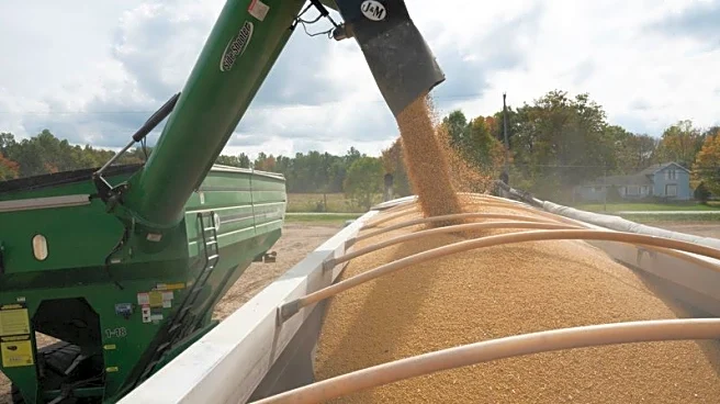 COFCO held soybean procurement signing ceremony, association official tells US-China forum