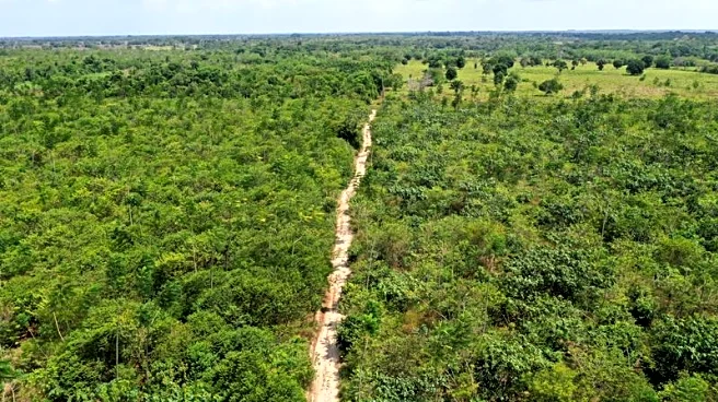 Exclusive-Google deal for Amazon reforestation makes Brazilian startup its top carbon credit supplier