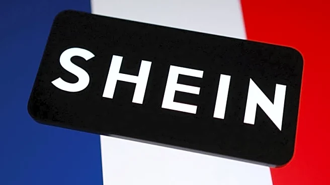 France pressures EU to investigate Shein over sex dolls, weapons