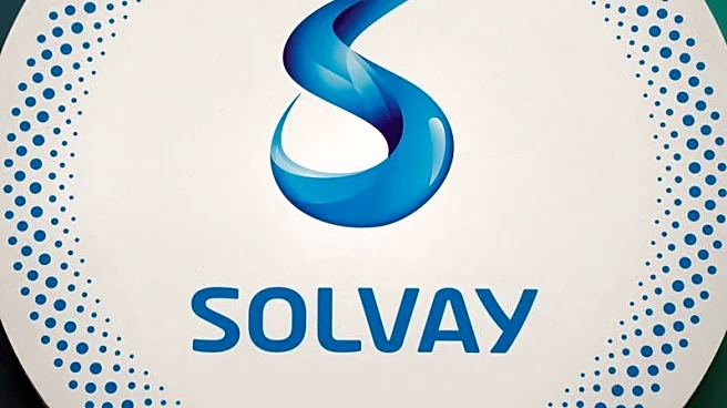 Solvay open to building rare earths plant in US, where support is stronger