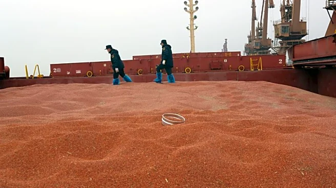 Exclusive-US sorghum shipment heads to China after Trump-Xi meeting, grains council chairman says