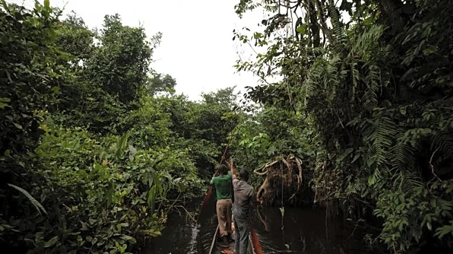 Exclusive-France leads $2.5 billion initiative to safeguard Congo's forest