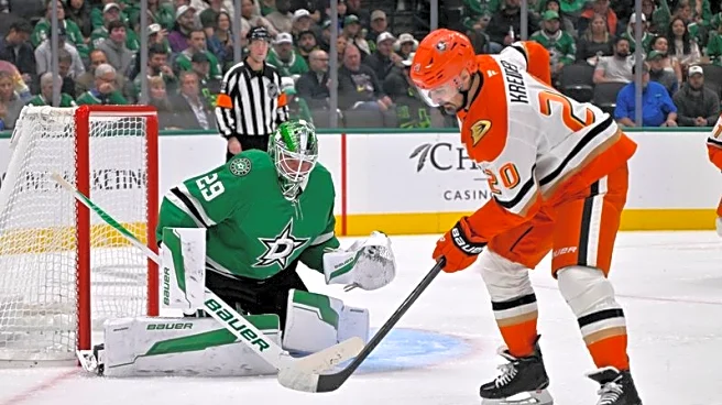 NHL roundup: High-flying Ducks win fifth straight
