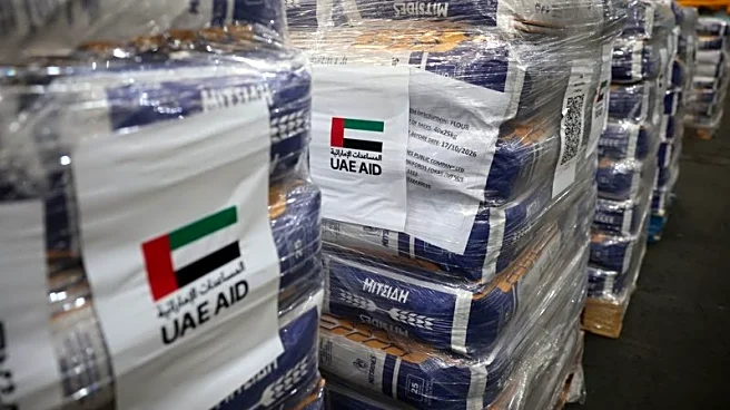 UAE envoy says aid to Gaza will be scaled up, Cyprus is key route