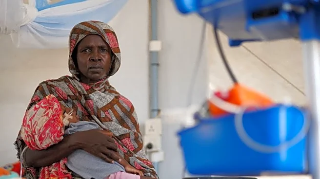 'Fifty or sixty people in a single street': Witnesses describe civilian killings in Sudan's al-Fashir