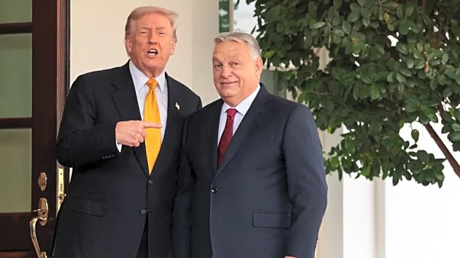 Trump meets Hungary's Orban to discuss Russian oil, economic cooperation