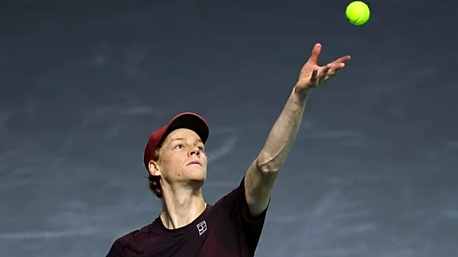 Tennis-Sinner and Alcaraz chase year-end top spot in ATP Finals