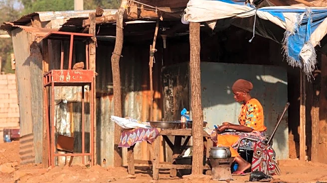 African Union calls for urgent action in insurgency-hit Mali