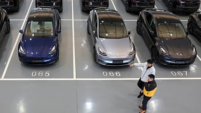 Tesla's China sales fall to 3-year low amid tepid demand