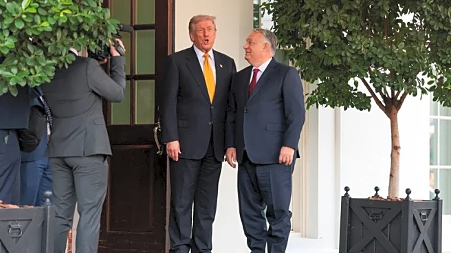 US financial shield bolsters Hungary amid EU funding freeze, minister says