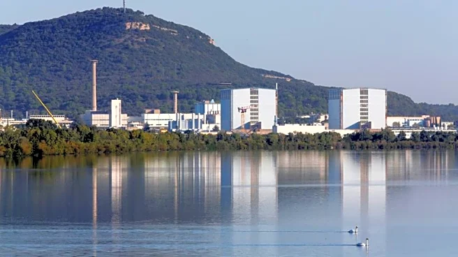 European nuclear firms look to US for faster growth