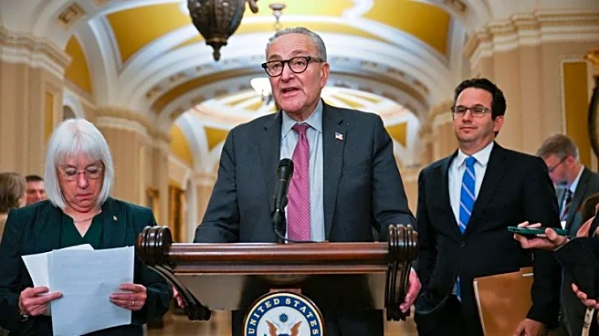 Analysis-Schumer in the hotseat, again, over deal to fund government