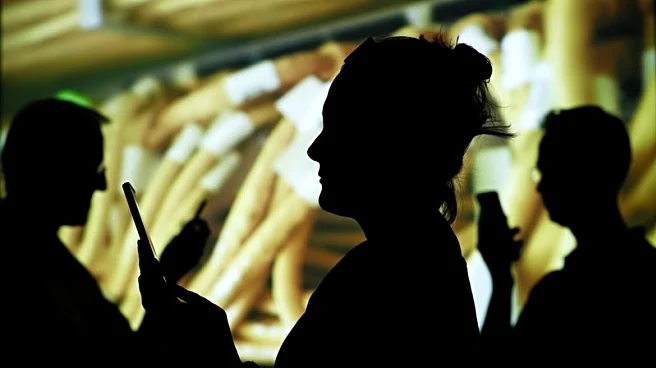 Private funding in Southeast Asia digital economy lags global level, report says