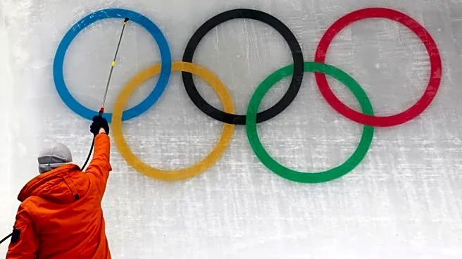 Olympics-Winter sports federations oppose summer sports inclusion in their Games