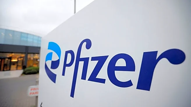 Metsera shareholders vote for up to $10 billion acquisition by Pfizer