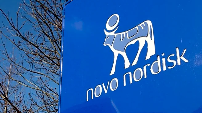 'Not been pretty': Novo Nordisk faces rare shareholder rebuke over board shake-up