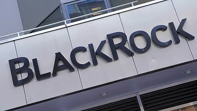 ACS, BlackRock launch 2 billion euro data centre joint venture