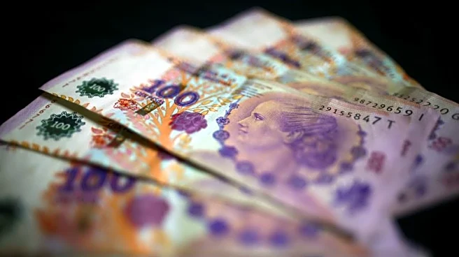 Analysis-Investors push Argentina for flexible peso amid reserve, FDI concerns