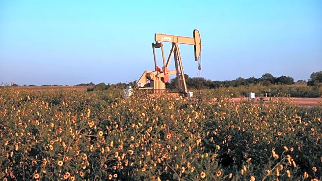 Activist investor Kimmeridge takes stake in US energy producer Devon