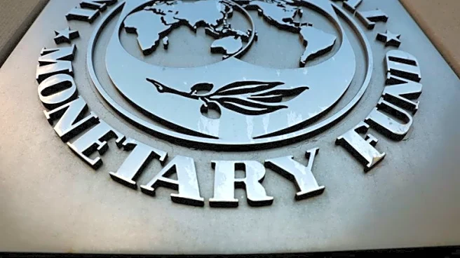 IMF approves fresh, smaller $24 billion credit line for Mexico