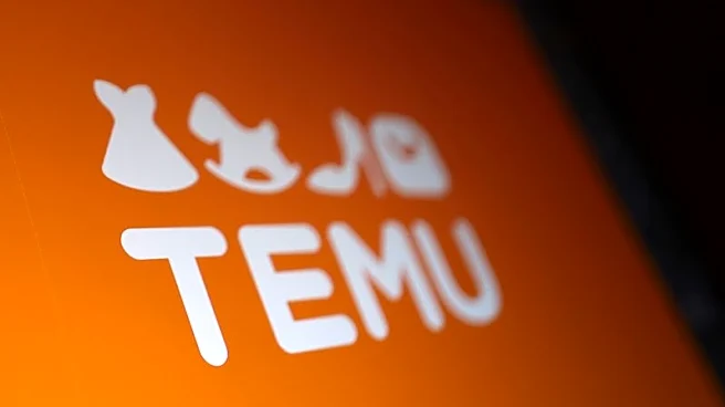 France finds Wish, Temu, AliExpress, eBay, Joom, Amazon broke rules on illicit products