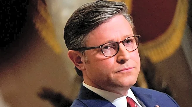 US House speaker says 'nothing to hide' in Epstein files