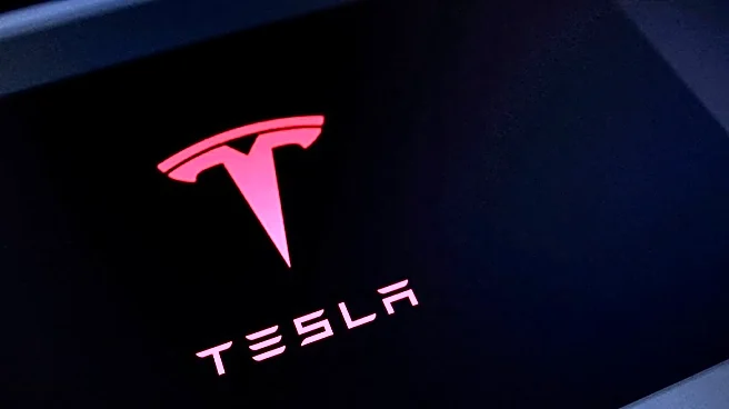 Australia's Syrah Resources, Tesla to further extend graphite supply deal deadline