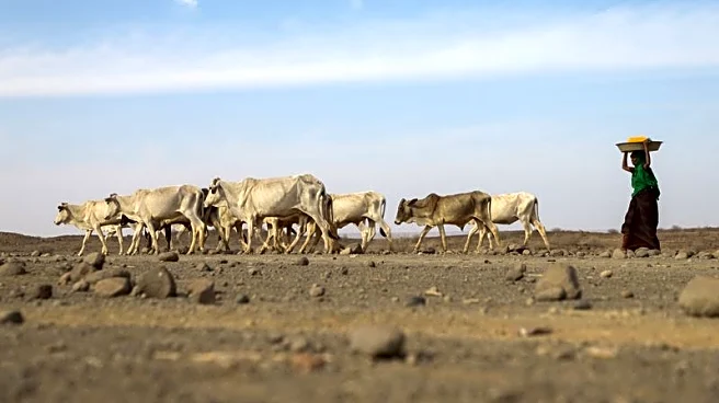 US and European aid cuts could result in 22.6 million deaths worldwide, study finds