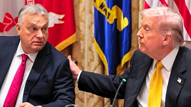 Benefits of any US support hard to gauge for Hungary's rating, Fitch says