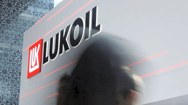 Factbox-Lukoil's international assets and potential buyers