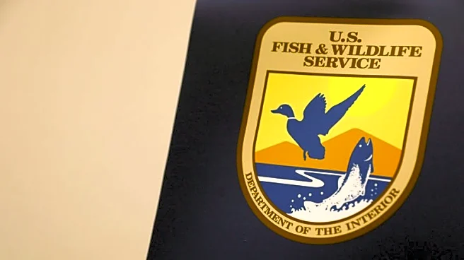 Trump administration proposes to loosen rules protecting endangered species