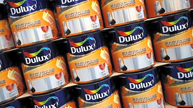 Axalta investor Artisan Partners urges rejection of AkzoNobel deal