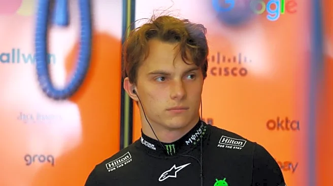 Motor racing-Piastri surprised by 'harsh' Brazil penalty