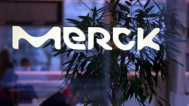 Merck KGaA to draw on Valo's drug discovery AI in potential $3 billion deal