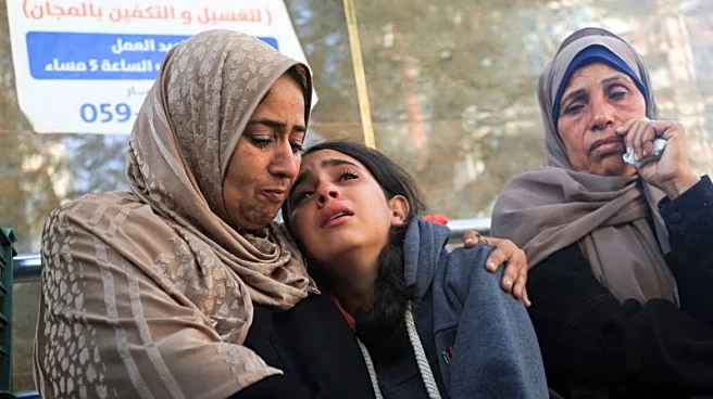 Gaza women, children injured by Israeli military during shaky ceasefire, MSF says