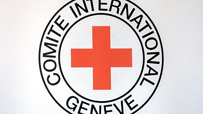 Red Cross to shed nearly 3,000 jobs, scale back budget amid donor fatigue