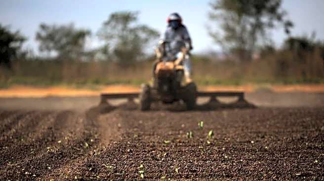 Brazil fears losing US market share in instant coffee after Trump maintains tariffs