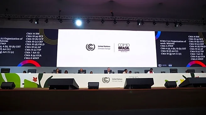Analysis-What the COP30 climate summit in the Amazon delivered for forests and Indigenous people