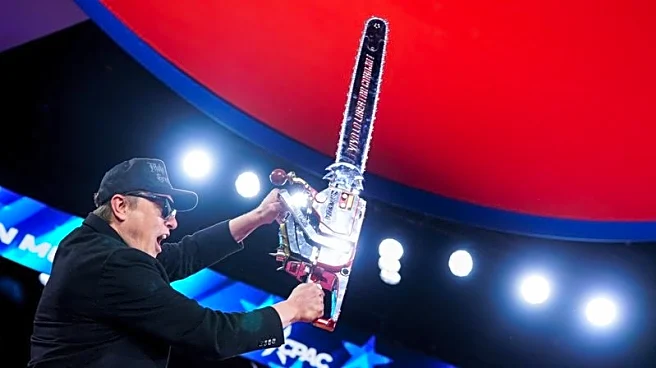 Exclusive-DOGE 'doesn't exist' with eight months left on its charter