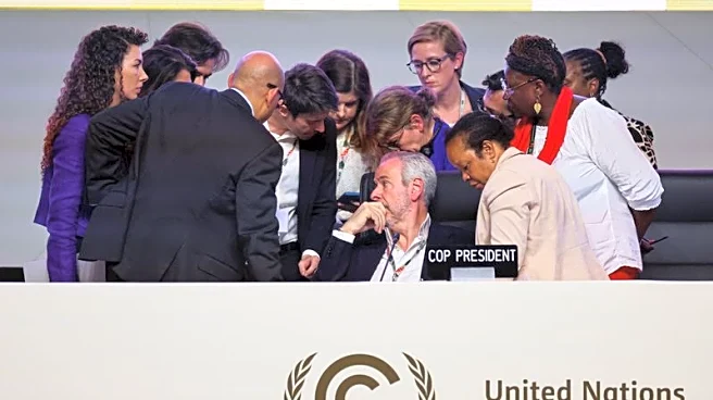 Analysis-COP30 deal exposes fragile climate unity as US steps back