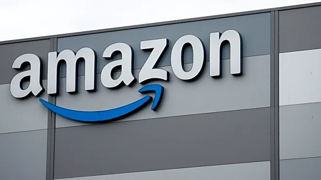 Amazon's satellite internet licence faces legal challenge in France