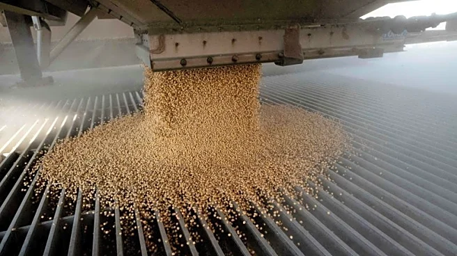 Three vessels bound for US Gulf Coast terminals to load soybeans, sorghum for China