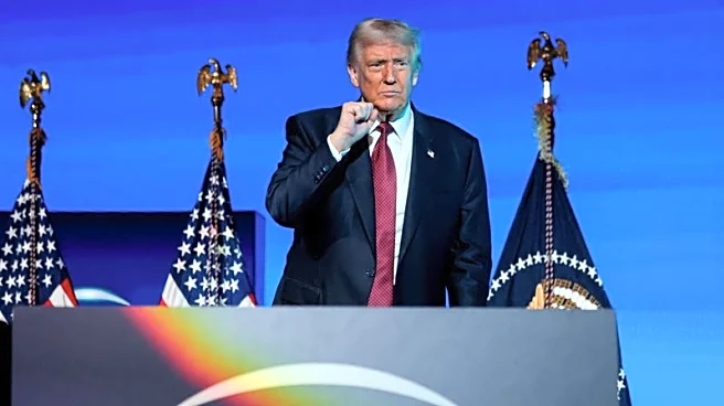 Trump begins process of labeling Muslim Brotherhood chapters as terrorist