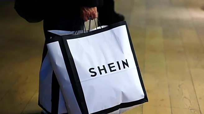 France seeks 3-month suspension of Shein, ministry official says