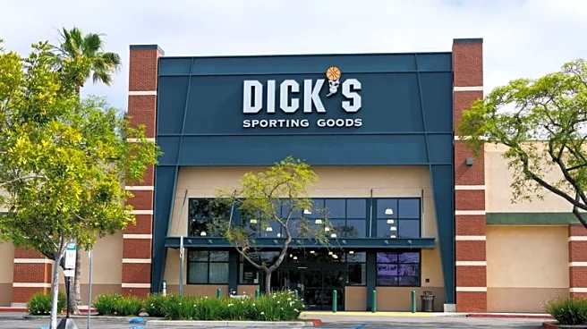 Dick's Sporting warns Foot Locker reset could cost up to $750 million; shares drop